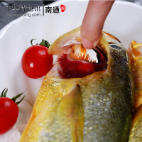 [中华特色]南通馆仙缘国产如东海鲜礼盒鲳鱼黄鱼海鳗带鱼米鱼等8种冻品组合7.4kg礼盒南通特产