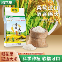 [当季新米]莘学优选东北大米 绿色延边大米 小粒香5kg 粳米10斤真空精品包装