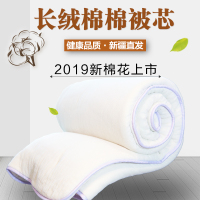 新疆西域巴郎手工棉花枕芯新疆八师石河子长绒棉单双人枕头成人护颈枕纯棉花填充 1kg 48*74cm