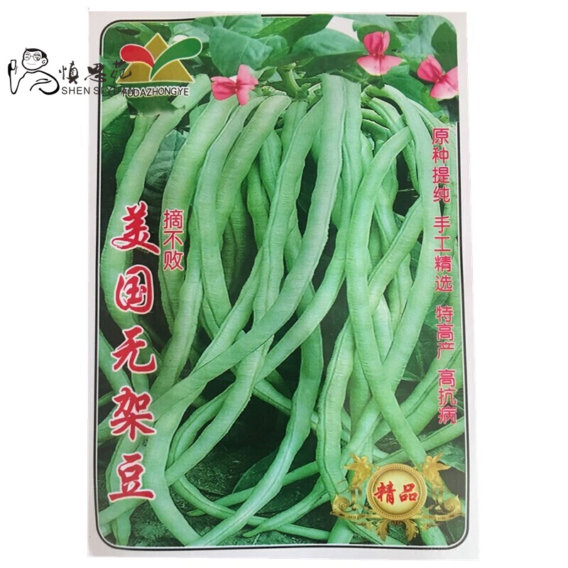 子暄无架豆豆角蔬菜种子菜籽阳台种菜盆栽高出芽率精装图片 高清实拍大图 苏宁易购