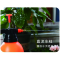 喷壶浇花水壶喷雾器喷水壶气压式洒水喷壶器 2L喷壶