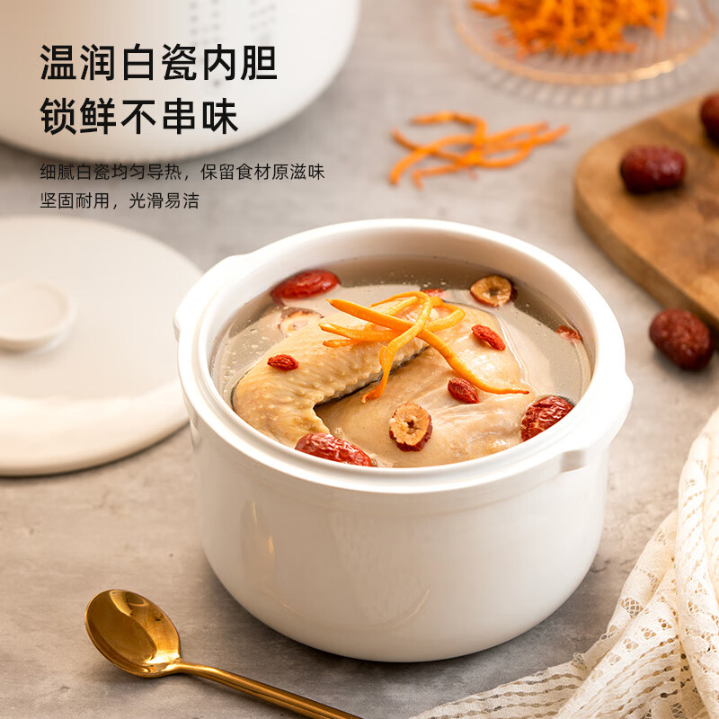 龙的(Longde)LD-DG2535电炖锅电炖盅煮粥神器煲汤锅炖汤锅婴儿煮粥锅熬粥燕窝炖盅高清大图
