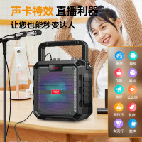 AIGO/爱国者 T53蓝牙音响 户外大音量便携广场舞音箱 摆地摊喇叭收款播报U盘插卡音响带炫彩灯 双咪版