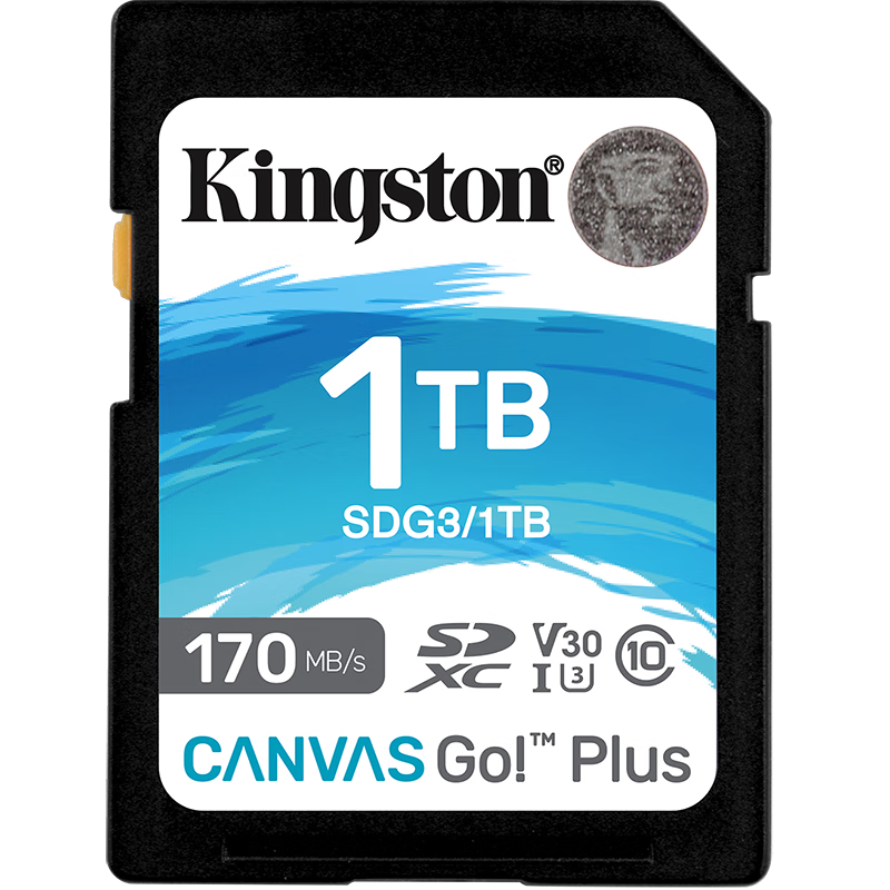 金士顿(Kingston)1TB SD存储卡 U3 V30 相机内存卡 高速sd卡大卡 4K超高清拍摄 读速170MB高清大图
