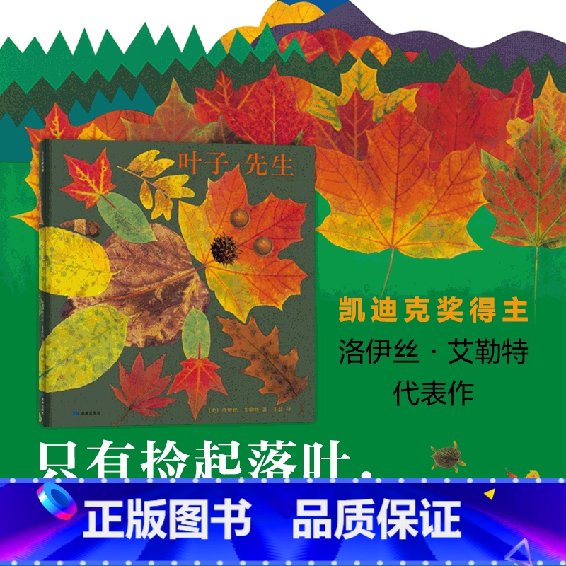 [正版] 叶子先生(精) 艺术绘本 大自然 手工创作 手工作业 凯迪克大得主 美国国家户外图书 童书书店书籍高清大图