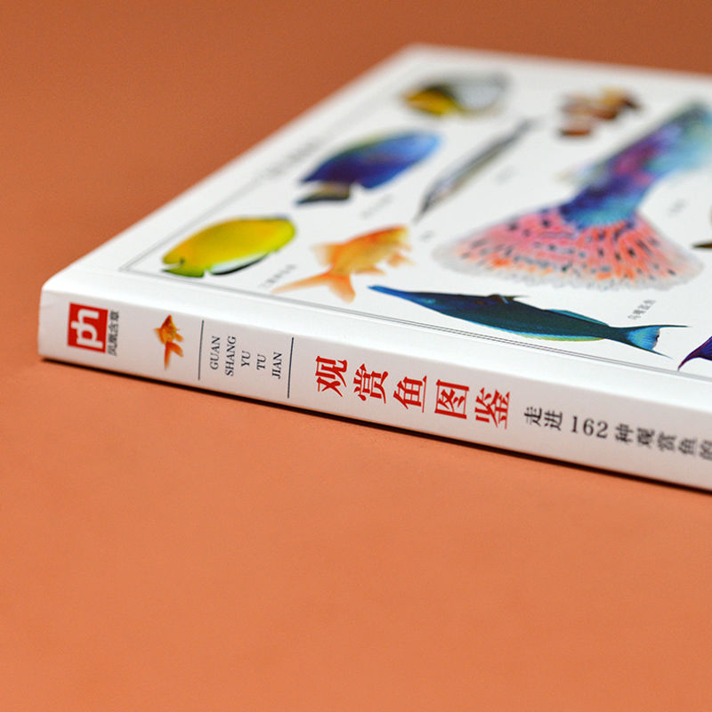 [醉染正版]观赏鱼图鉴自然科学读物 海洋生物养殖鱼类科普百科全书图鉴书籍高清大图