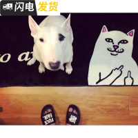 欧美RIPNDIP法兰绒中指贱猫床边款潮牌地毯垫go away卧室包邮推荐