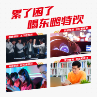 东鹏特饮500ml*24瓶整箱牛磺酸能量饮品熬夜抗疲劳维生素功能饮料