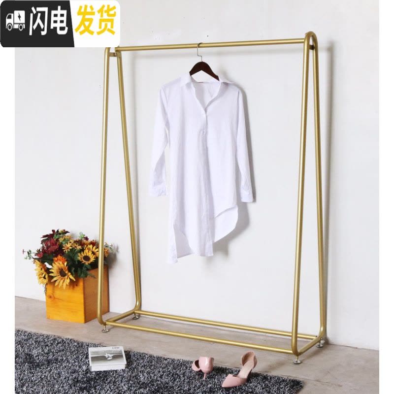 三维工匠网红衣架落地晾衣架轻奢卧室单杆式室内晒挂衣架 纳米金ins晾衣杆 纳米金色长120高160图片