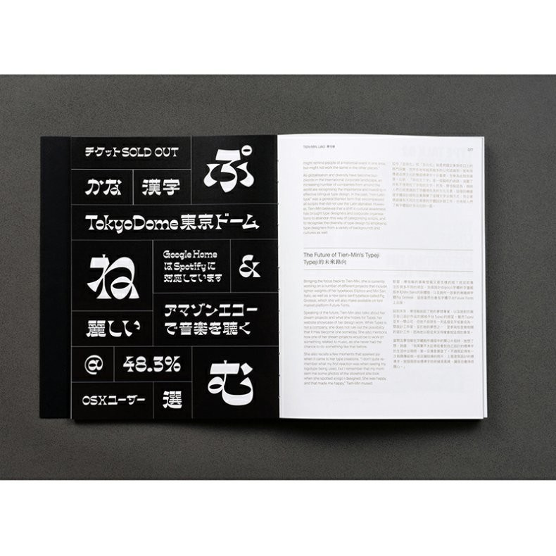 [正版] 中英双语 Hanzi•Kanji•Hanja 2 汉字2 100个来自世界各地的设计项目 当代汉字字体 字高清大图