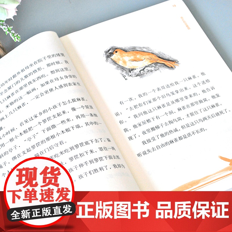 林良爷爷的动物园/林良童书馆 儿童文学动物小说故事书三四五六年级小学生课外阅读书籍必读经典书目暑假寒假读物正版高清大图