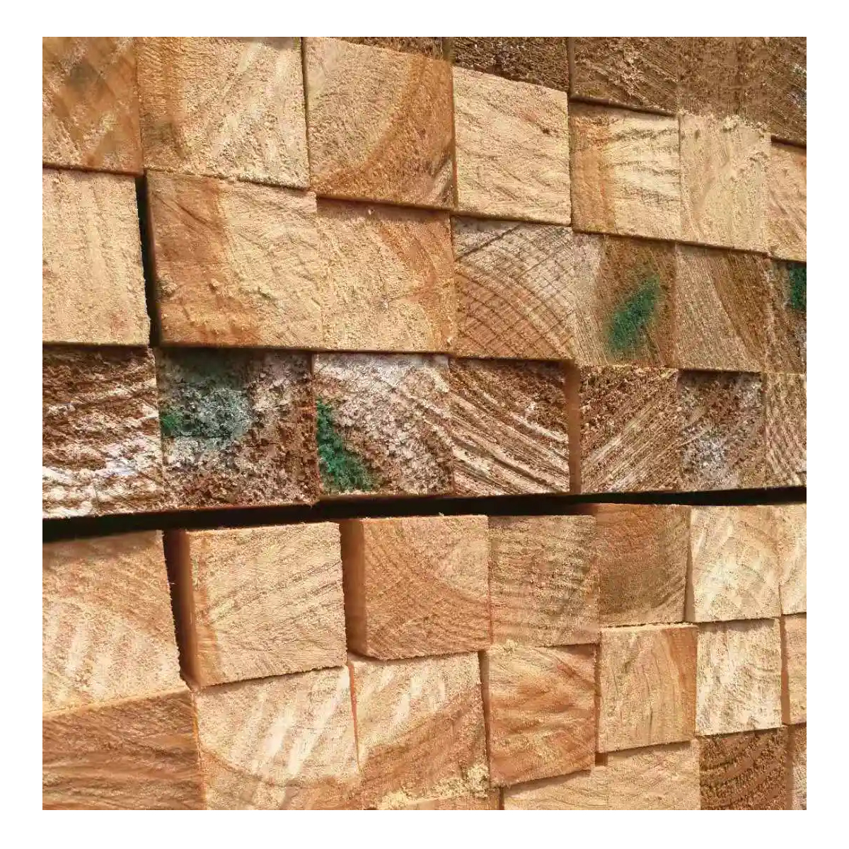 燚购 木方垫木条 100*100mm 立方米