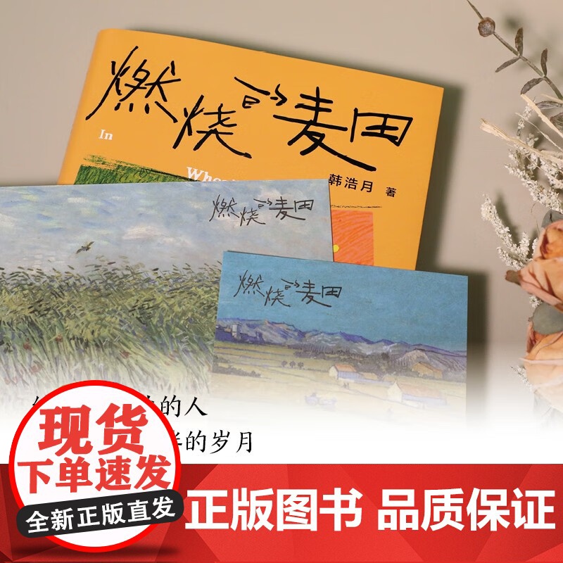 燃烧的麦田 韩浩月 著 散文高清大图