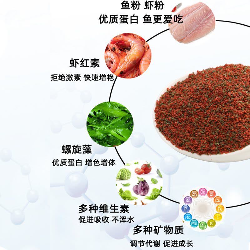 鱼食小型鱼饲料孔雀鱼凤尾鱼灯科斗鱼七彩神仙鱼小颗粒微粒通用型图片