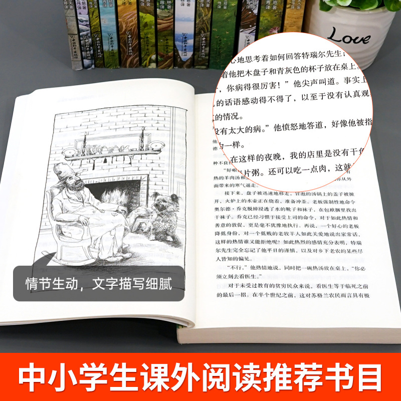 六年级阅读课外书必读老师经典世界名著儿童读物青少年阅读书籍小鹿>