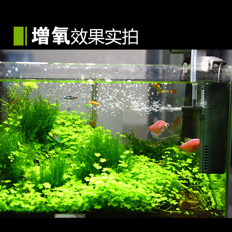 小鱼缸过滤器免换水内置增氧泵三合一氧气泵小型净水循环家用高清大图