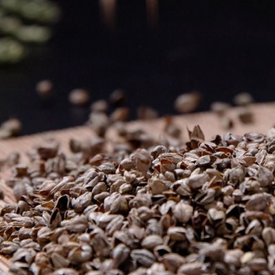 荞麦皮散装10斤特级免洗苦荞麦壳乔麦皮多少钱一斤枕芯填充物助眠出口