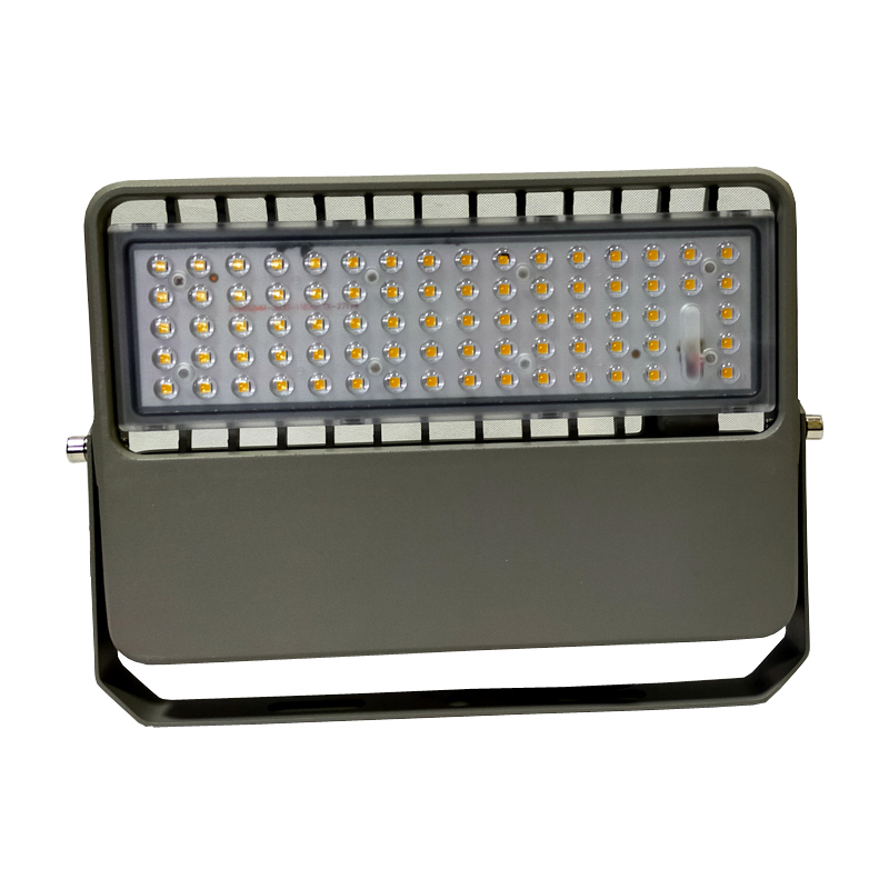 LHE2365 LED应急投光灯 30W 冷光 36V IP65 (计价单位:个)灰色高清大图