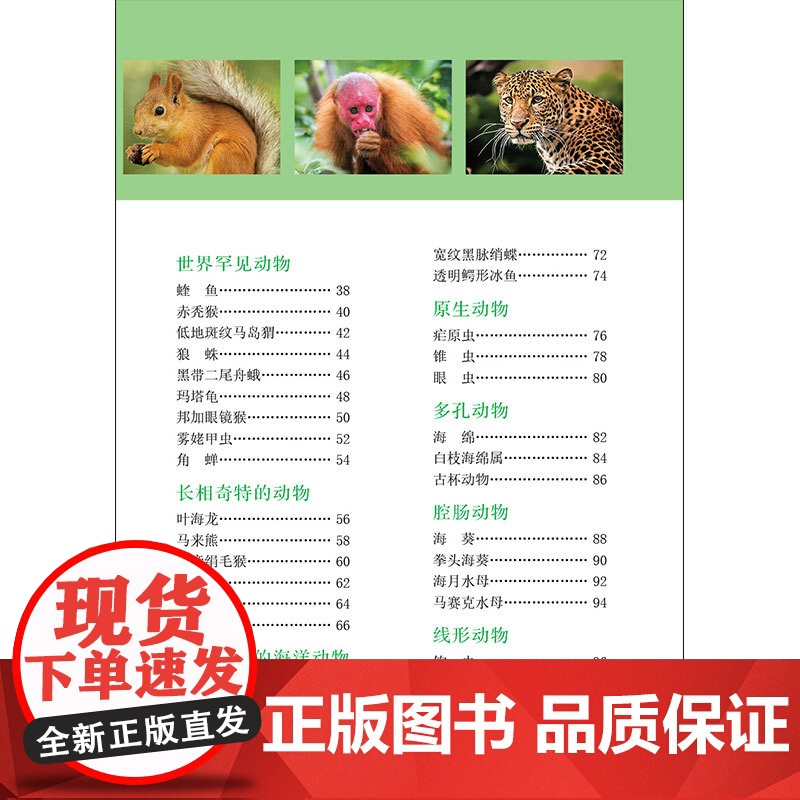 新编儿童百科全书:动物 90多种动物的详细 200多幅记录动物精彩瞬间的珍贵图片,还原千奇百怪的动物世界,让孩子身临其境高清大图