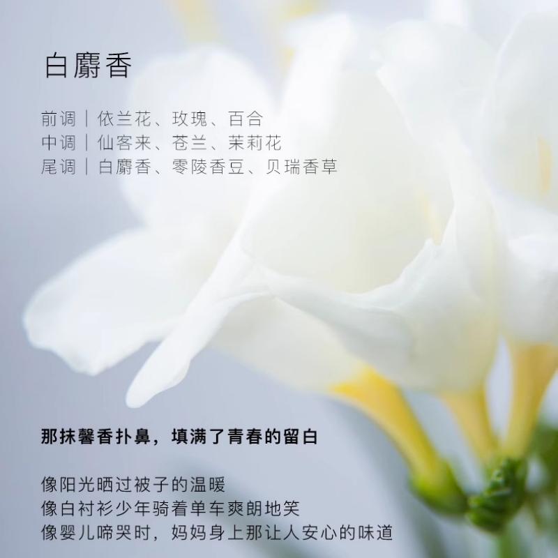 东方宝石 美白保湿香氛身体乳(白麝香)350ml高清大图