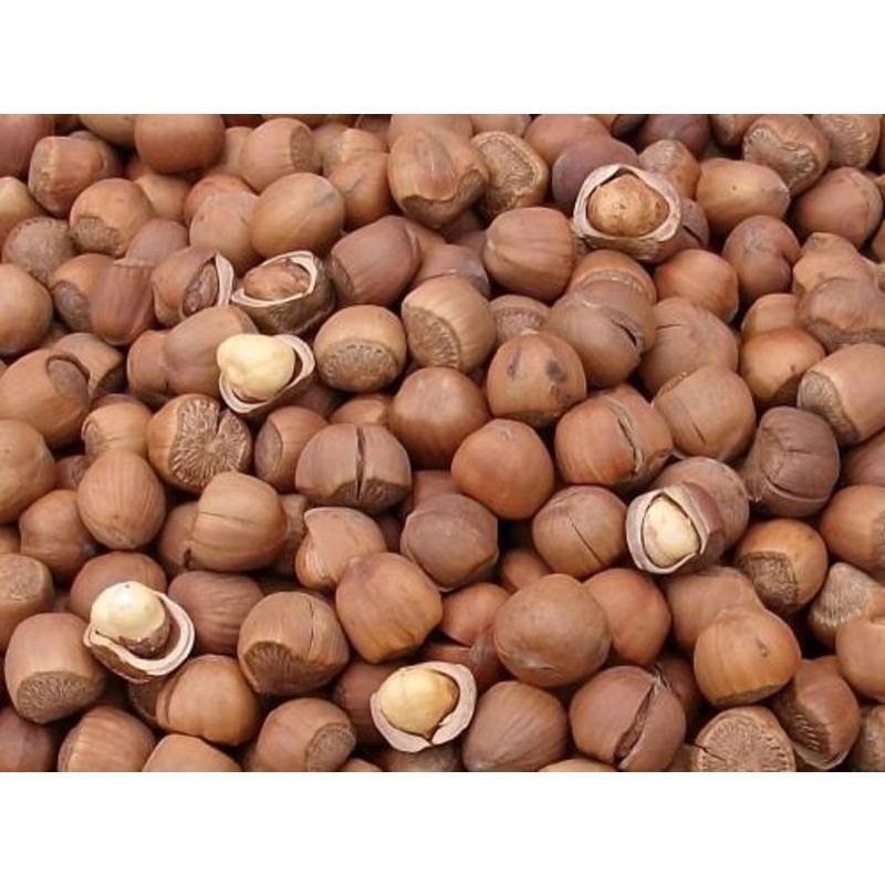 原味250g 干果张 野生现炒平榛子500g 坚果炒货视频