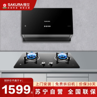 樱花(SAKURA)烟灶套餐 中式小尺寸大吸力抽油烟机燃气灶具煤气 厨电烟灶套装TZA01+BDB02天然气