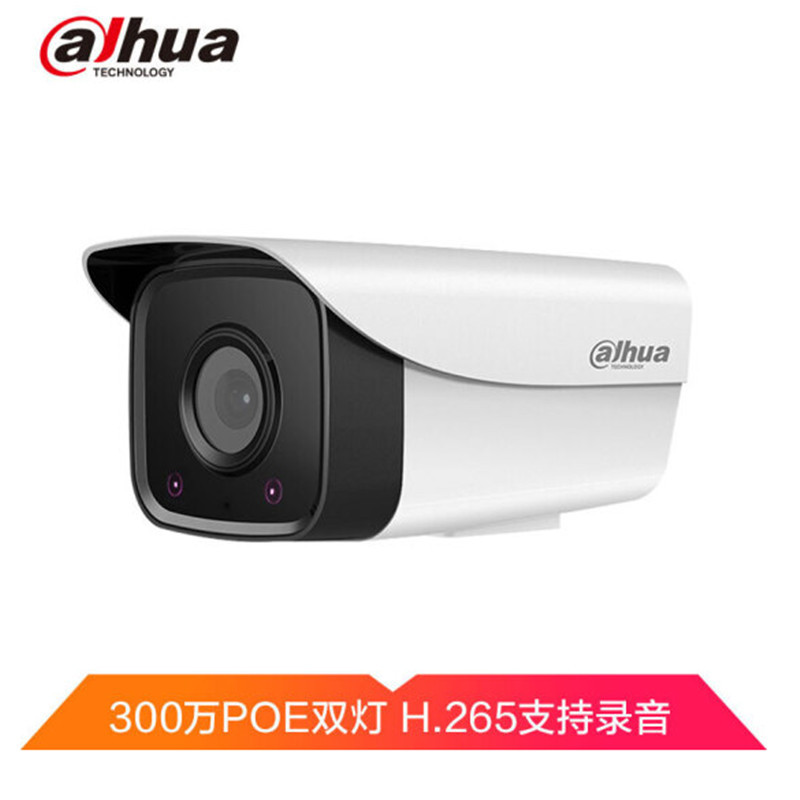 大华(alhua)DH-P30摄像头 300万监控摄像头POE 网络高清带录音红外夜视30米监控器 H265存储