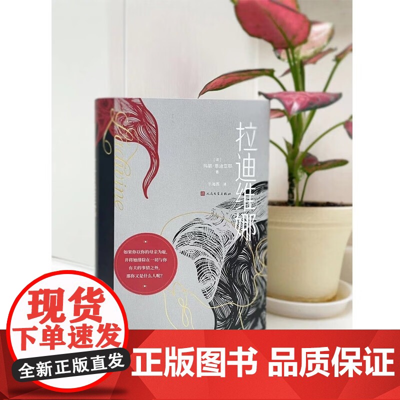 拉迪维娜 玛丽·恩迪亚耶 著 小说高清大图
