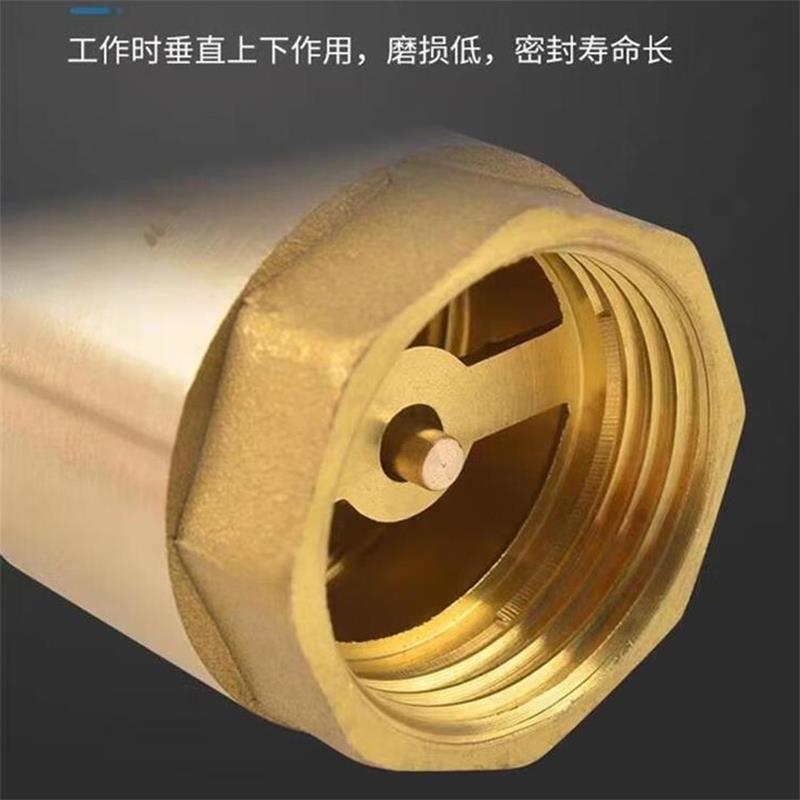 盛京联硕铜立式止回阀 逆止阀 单向阀 DN15[4分] 个高清大图