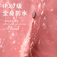 贝贝康电动牙刷D-01-5 组合套装 五档模式 声波震动 全身水洗 持久续航 15000转/分钟 高速震动去除牙渍