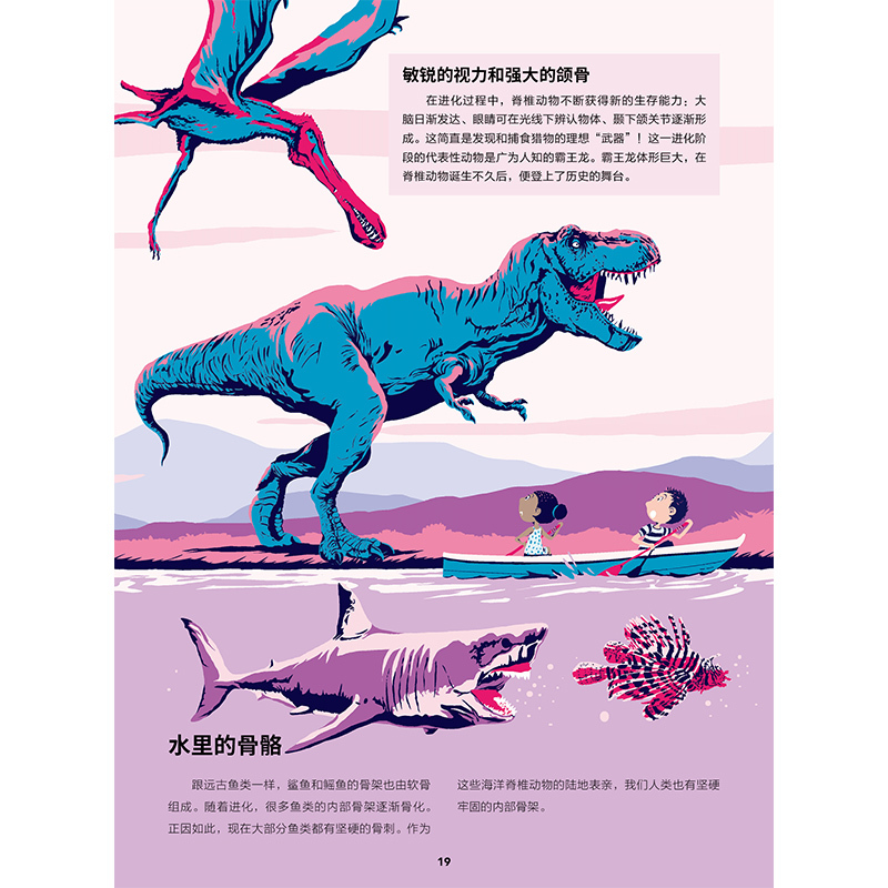 进化:13节生物小课堂 [正版]店 进化:13节生物小课堂 谁的骨头 我发现数字无处不在作者新作 趣味科普生物进化的奇妙