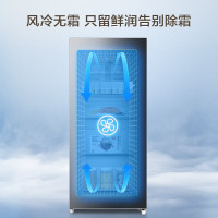[官方正品]容声155L升立式冰柜单门风冷无霜除菌净味一级能效冷藏冷冻冷柜 BD-155WRSY墨韵灰以旧换新