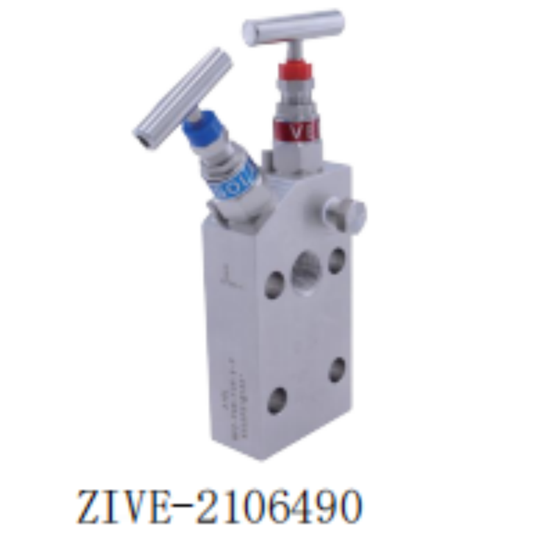 ZIVE二阀组ZIVE-2106490 个高清大图