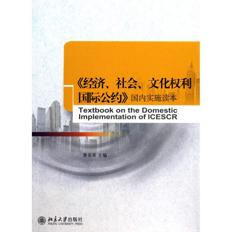 【M】《经济社会文化权利国际公约》国内实施读本-9787301181362