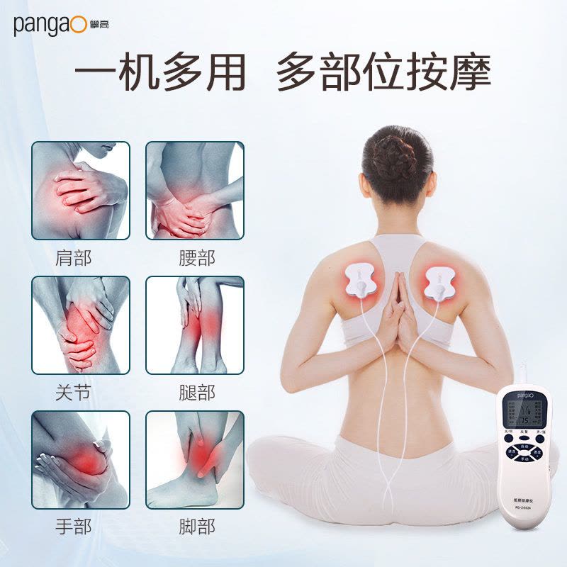 攀高 (PANGAO) 低频理疗仪 家用便携电疗仪辅助治疗仪 电脉冲多功能颈椎腰椎膝盖关节按摩器 PG-2602A图片