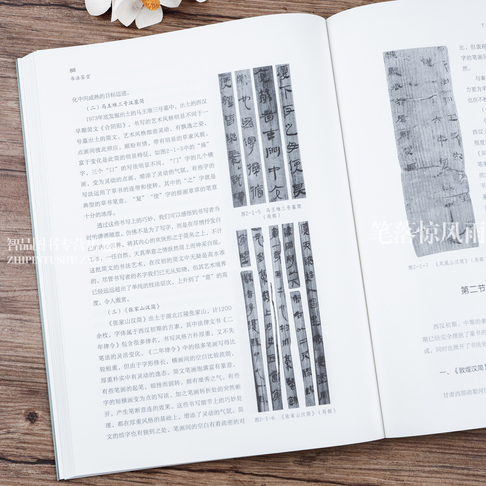 [正版]书法鉴赏 全书分上下编共七章三十三节 书法艺术的本体构成书法批评创作 篆书隶书草书楷书行书欣赏 适用于高校学生高清大图