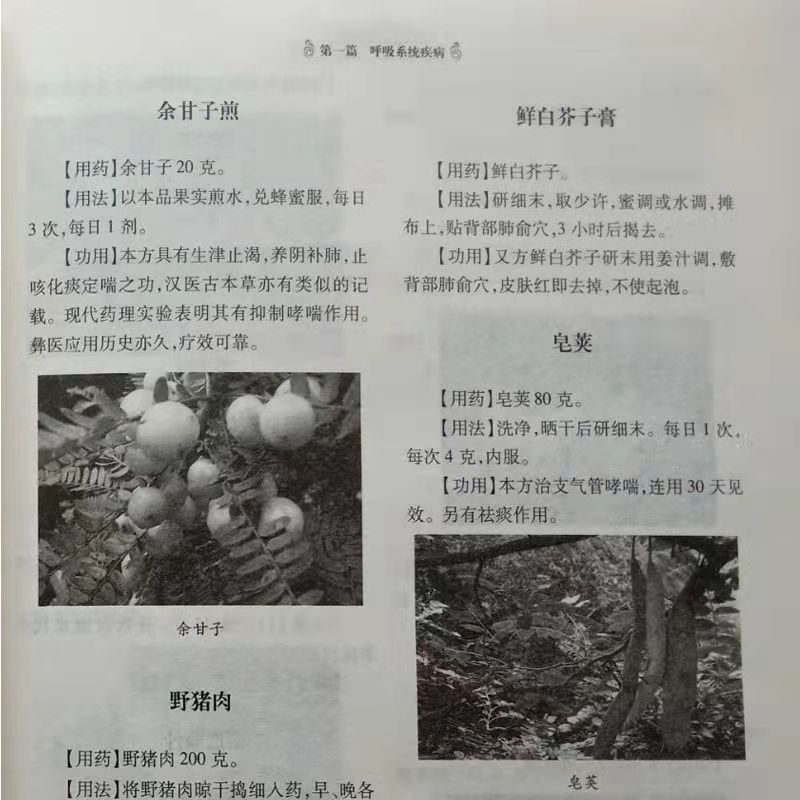 4册中国土单方+老偏方大全+千金妙方+偏方秘方验方大全中医养生全套正版中医基础理论入门古书养生保健奇验良方中药偏方高清大图