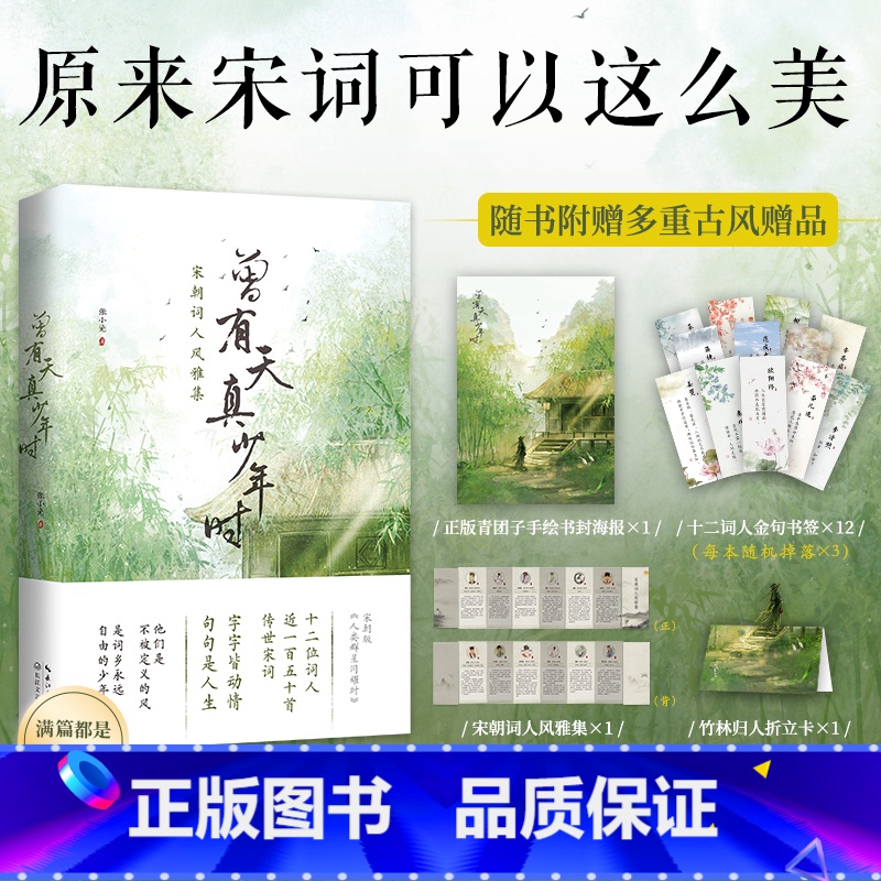 曾有天真少年时(含赠品) [正版]曾有天真少年时唐诗宋词鉴赏辞典全集苏轼欧阳修辛弃疾李清照晏殊唐宋八大家古诗词风雅集解读高清大图