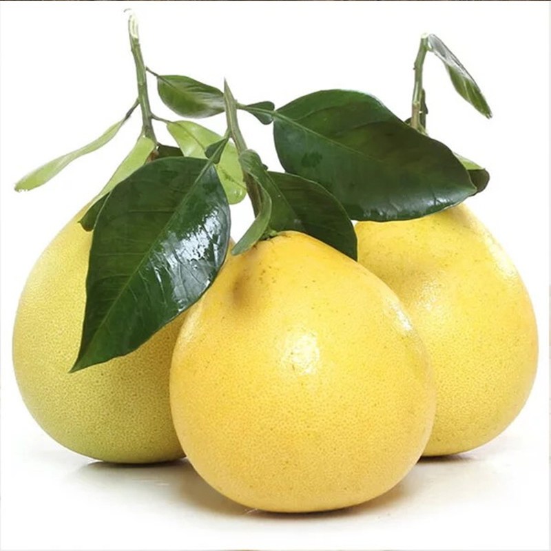 新鲜白心柚子1个约1825斤平和琯溪蜜柚孕妇水果白肉蜜柚