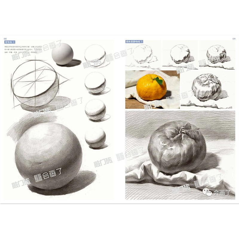 [醉染正版]绘画全攻略素描静物 2020敲门砖李家友高清大图