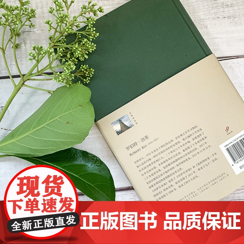 所有的桥都孤独精装版 巴别塔诗典系列奥地利国家文学奖得主德语诗歌的明珠英格博格·巴赫曼诗歌全集书籍高清大图