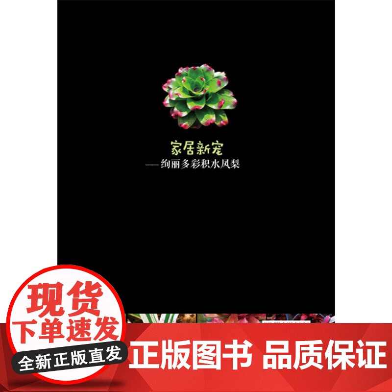 家居新宠——绚丽多彩积水凤梨.黄福贵,任全进,李兆文 主编9787122341471高清大图