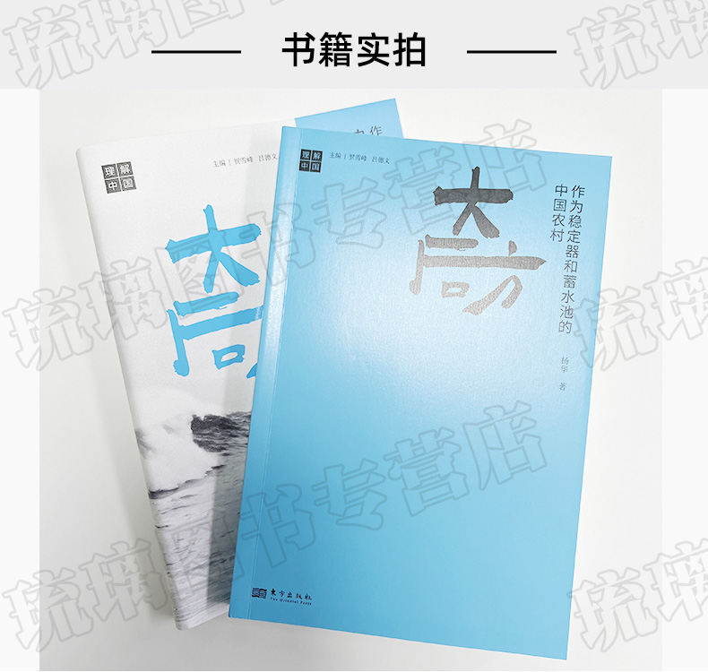 [正版]大后方:作为稳定器和蓄水池的中国农村 县乡中国作者杨华又一力作 三农问题 乡村振兴 如何做好农民的兜底保障 东高清大图