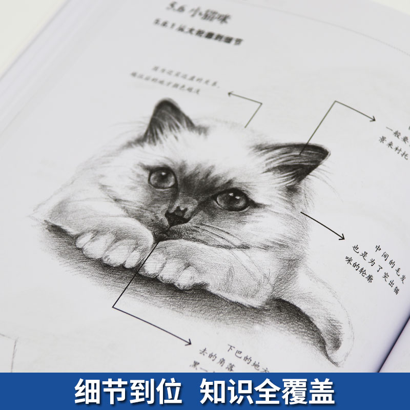 醉染图书零基础素描9787548440697高清大图
