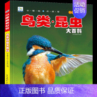 [选3件39元]鸟类 昆虫 [正版]自然百科全书注音版幼儿探索自然奥秘大百科儿童科普绘本小百科读物全套科学认知幼儿少儿儿