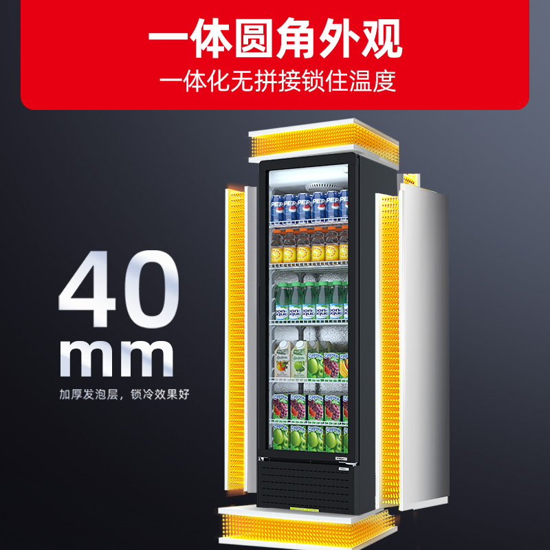 星星(XINGX)217升风冷无霜立式展示柜冰柜 饮料冷藏柜商用保鲜柜陈列柜冷柜 LSC-230WYPE高清大图