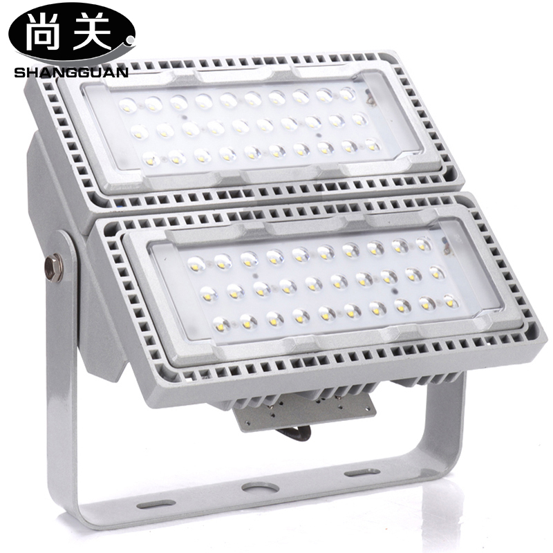 尚关(SHANGGUAN)LED 泛光灯(投光灯) SQ-Z18 100W