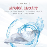 Leader海尔出品 10公斤大容量 双缸洗衣机 双桶洗衣机 洗脱分开 TPB100-1188BS