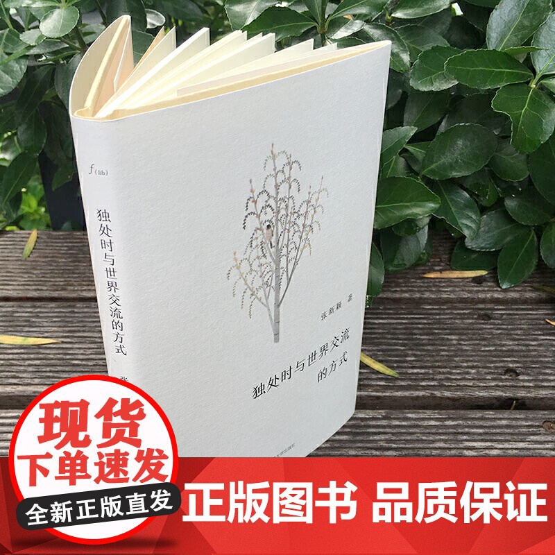 独处时与世界交流的方式(谜文库) 张新颖 华东师范大学出版社 正版书籍高清大图