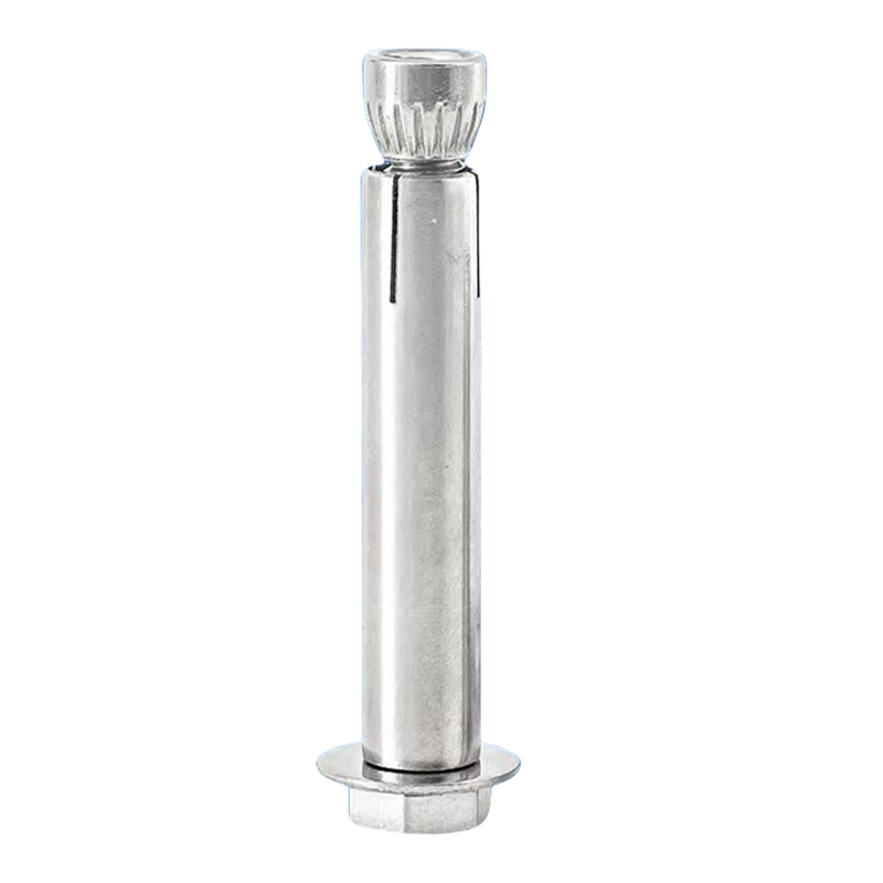 贝策 膨胀螺栓 M10*100mm 个